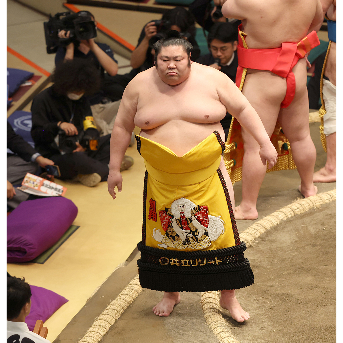 現役時代の剣翔【写真：産経新聞社】