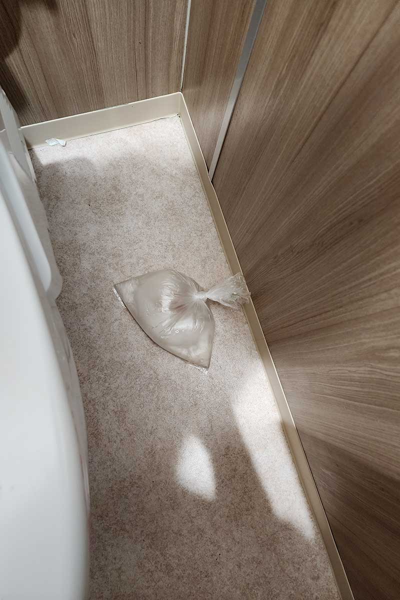 トイレに放置されていた金魚【写真：X（＠Oimo_is_inco）より】