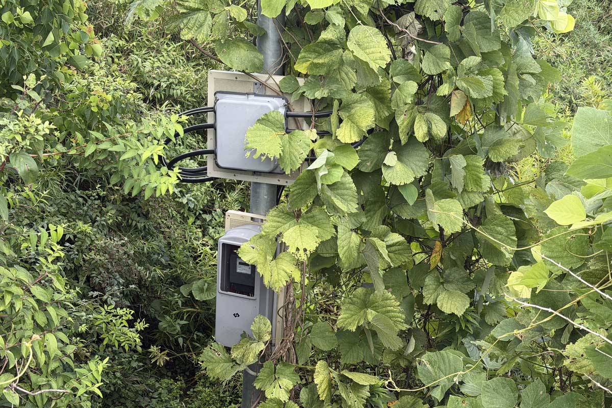 盗難を免れた、電柱側につながる6本のケーブル【写真:本人提供(ブログ「投資でセミリタイアする九条日記」から)】