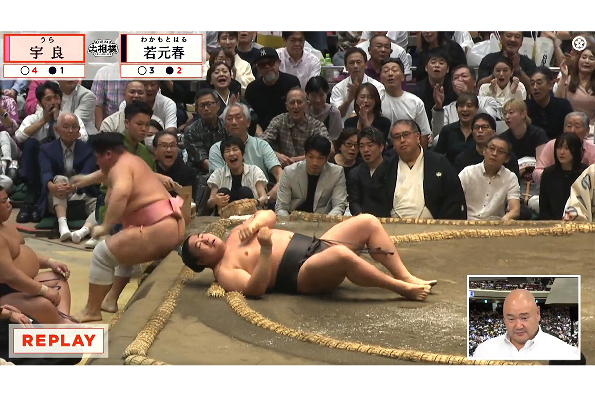 大相撲中継、親方の隣に「よく見たらいるじゃん」　目立つ溜まり席で鋭い眼差し「え、チャンピオン！」