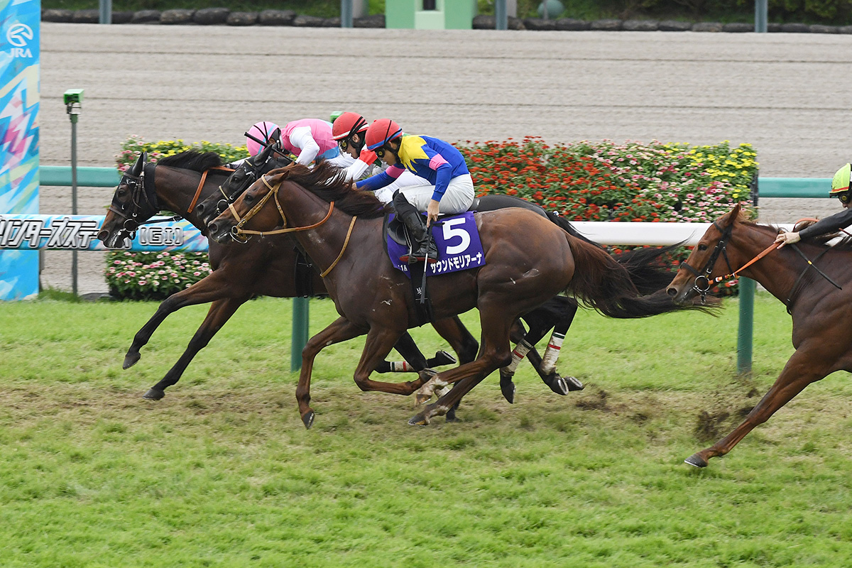 28万円購入→衝撃の払戻額「獲ったどーー！」　有名人が競馬のG1で会心的中…ネット「すごい買い方！」「天才ですか？」